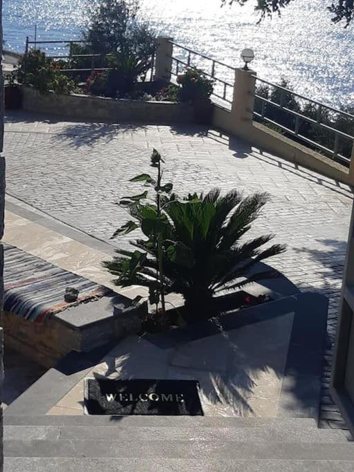 Panos Renos Studio, A Cozy Home By The Beach! Myrties エクステリア 写真